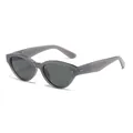 Cat-Eye-Sonnenbrille in transparentem Rauchgrau mit dunkelgrauen getönten Gläsern - Grauer Rahmen / Schwarzgraue Gläser