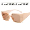Lunettes de soleil géométriques punk champagne avec branches larges et verres bruns - Monture Champagne Verres Thé Clair