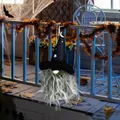 Gnomo di Halloween con cappello nero a stelle e luna e barba grigia appeso al balcone - Stile Cilindro