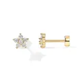 Gold plated brass palm flower earrings with clear zircon stones on a white background - Five Petal Flower (c109)