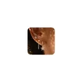 Three-piece gold seashell and pearl earring set styled on model with a starfish design - Starfish Artificial Pearl Tassel Earring Set (e772) / Single Card Pack / Gold