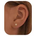 Makroaufnahme eines goldenen Palmen-Ohrrings mit weißen Zirkonia-Kristallen am Ohrläppchen - Palmen Form (e1445) / 1 Stück / Gold