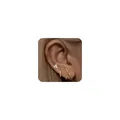 Three-piece set of gold earrings featuring floral studs and elegant crisscross designs - Gold Flower Stud Hoop And Cross Earring Set(e1514) / 14K Gold / 3 Pieces/Pack / Gold