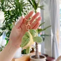 Detail of cute green turtle plush keychain with golden metal clasp and woven label - Gold Metal Buckle / Yellow Green