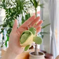 Detailopname van een kleine pluche schildpad sleutelhanger met groen schild in hand - Groen
