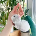 Nahaufnahme eines süßen Plüsch-Eichhörnchen-Anhängers mit goldenem Schlüsselring - Grau (Goldene Schnalle) / 13cm