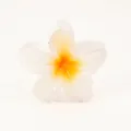 Haarklammer in Frangipani-Form in Cremeweiß und Gelb für sommerliche Frisuren - Reinheit / Gelb