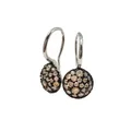 Close-up of champagne and black crystal pavé earrings with polished metal hooks - Silver + Champagne