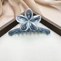 Elegante fermaglio per capelli a fiori con finitura grigio-blu traslucida - Pearlescent Dark Gray (Plumeria)