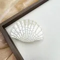Elegante molletta per capelli a conchiglia bianca con motivo craquelé vintage - 8.5cm / Forma di capasanta / Giallo chiaro