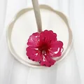 Molla per capelli a forma di fiore rosso rosa in resina di qualità per donne - Rosso Anguria Scuro
