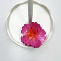 Pinza per capelli a forma di ibisco con sfumatura rosa e arancione da donna - Rosa Rosso