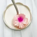 Pinza per capelli a fiore di ibisco rosa con petali sfumati e impugnatura a molla in resina - Rosa Coreano