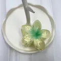 Frangipani claw clip in yellow and green gradient resin for elegant vacation hairstyles - Gold Pink Green