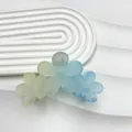 11cm floral hair claw clip with yellow to sky blue gradient and matte finish - 11CM Size / Blue and Yellow Gradient