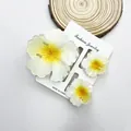 Set di tre fermagli per capelli a forma di plumeria bianca e gialla su scheda - Stile Fiore a Rosetta / Set da 3 pezzi / Petalo Bianco Cuore Giallo