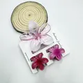 Set di tre mollette per capelli a plumeria con sfumatura rosa e fiori rossi opachi - Set da 3 pezzi (1 grande, 2 piccoli) / Rosa Sakura Trasparente