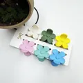 Set mit 6 bunten 4 cm Frangipani-Haarklammern auf weißer Marken-Präsentationskarte - Feiner Matte Mehrfarbiger Stil (Set Neunzehn)