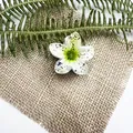 Molla per capelli a forma di frangipane con glitter colorati e centro sfumato verde - 4cm / Stile con Glitter / Sfumatura Bianco Verde / Glitter