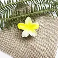 Pinza per capelli a forma di fiore di plumeria sfumato giallo e bianco da spiaggia - Leva Gialla