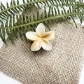 Molla per capelli a forma di plumeria bianca e caramello su sfondo di foglie naturali - Leva Caffè