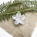 Piccola molletta per capelli a forma di plumeria colorata con finitura opaca e schizzi - Spruzzi Rosa Arancio Celeste