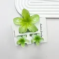 Set mollette per capelli a forma di plumeria verde sfumato con effetto gelatina - Set da 3 pezzi (1 grande 2 piccoli) / Verde Gradiente