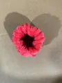 Washing Wristband Red