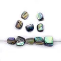 Onregelmatige natuurlijke abalone schelp kralen met regenboogglans voor DIY sieraden - Tand