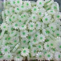 Macro detail of pearlescent white daisy beads with green centers for DIY jewelry making - Green Center (No.6)