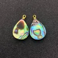 Natural abalone shell teardrop pendant with iridescent rainbow finish and gold metal loop - Water Drop 8x12mm