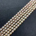 Roze en champagne ovale zoetwaterparels strengen voor het zelf maken van sieraden - 5-6mm / Roze