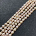 Strands of pale pink freshwater pearls in oval shape for DIY jewelry making and necklaces - 3-4mm / Pink