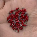 Red rice-shaped beads on silver stainless steel chain for DIY jewelry making - Red
