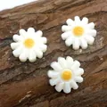 Tre perle di conchiglia naturale a forma di margherita bianca su corteccia di legno scuro - 6mm / N. 1 (Bianco)