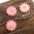 Dettaglio di perline a margherita rosa in resina per gioielli fai-da-te su corteccia naturale - 6mm / N. 4 (Rosa)