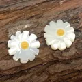 Makroaufnahme weißer Gänseblümchen-Perlen aus Muschel mit gelber Mitte für DIY - 10mm / Gelbe Staubblätter