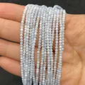 Stränge aus hellblauen natürlichen Muschelperlen für die Schmuckherstellung - Hellblau