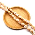 Natural conch shell beads with yellow ring patterns for DIY jewelry making - Style 2 (13mm / Approx. 92g)