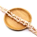 Natural white cowrie shell beads necklace with orange markings for DIY jewelry - Style 3 (15mm / Approx. 55g)