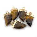 Set of 5 tiger eye faceted tooth charms with gold metal caps for DIY necklace making - Tiger's Eye