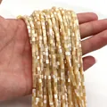 Macro shot of natural off-white shell cylinder beads for DIY jewelry making accessories - Extra Small Cylinder Style / Natural