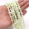 Cuentas de concha verde claro irregulares con brillo natural para joyería artesanal - No.2 (Verde Pálido)