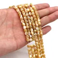 Natürliche gelbe Seemuschel-Trommelperlen für DIY-Schmuck auf einer Hand präsentiert - 6x6mm / Nude