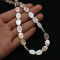 Ovale flache Perlmuttperlen aus natürlicher Muschel für DIY-Schmuck mit Schimmer - Oval / 10x15mm (1 Schnur)