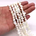 Cuentas de concha marina blanca natural irregular con brillo para joyería artesanal DIY - No.6 (Blanco)