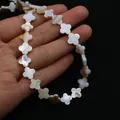 Détail macro de perles en nacre naturelle trèfle à quatre feuilles pour bijoux DIY - Fleur à Quatre Pétales