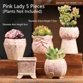 Set of 5 pink glazed ceramic succulent pots with assorted shapes for home garden decor - Pink Style