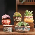 5-piece set of gradient ceramic succulent pots with embossed floral and house designs - Gradient Xiaoman 5