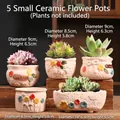 5-piece ceramic succulent planter set with floral reliefs and Garden sunshine text - Five Flowerpots For Xiaoman (grain Buds)